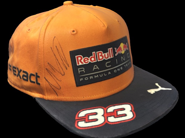 3D Formula 1 Max Hat